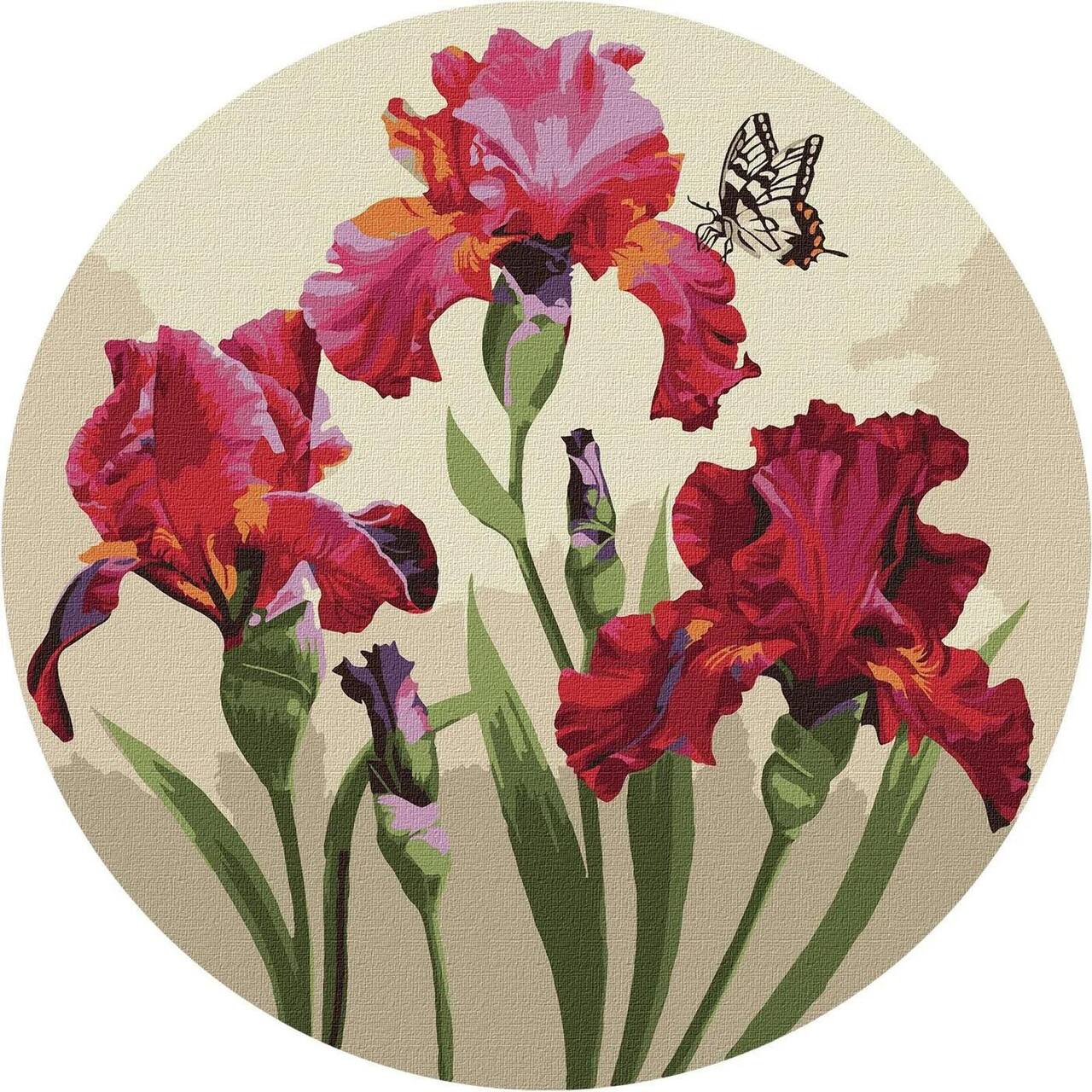 Ideyka Exquisite Irises Painting by Numbers Kit